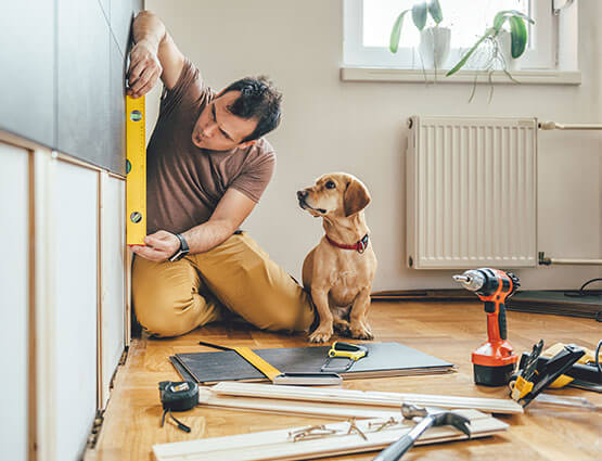 Man and dog doing home improvement tasks